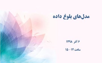 مدل‌های بلوغ داده